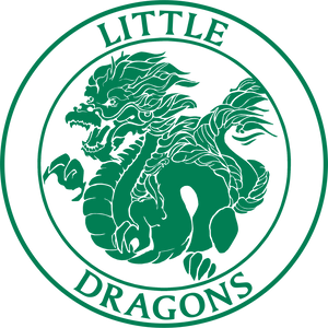 Little Dragons Green - Junior Hoody