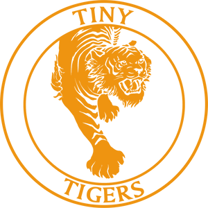 Tiny Tigers Orange - Junior Hoody