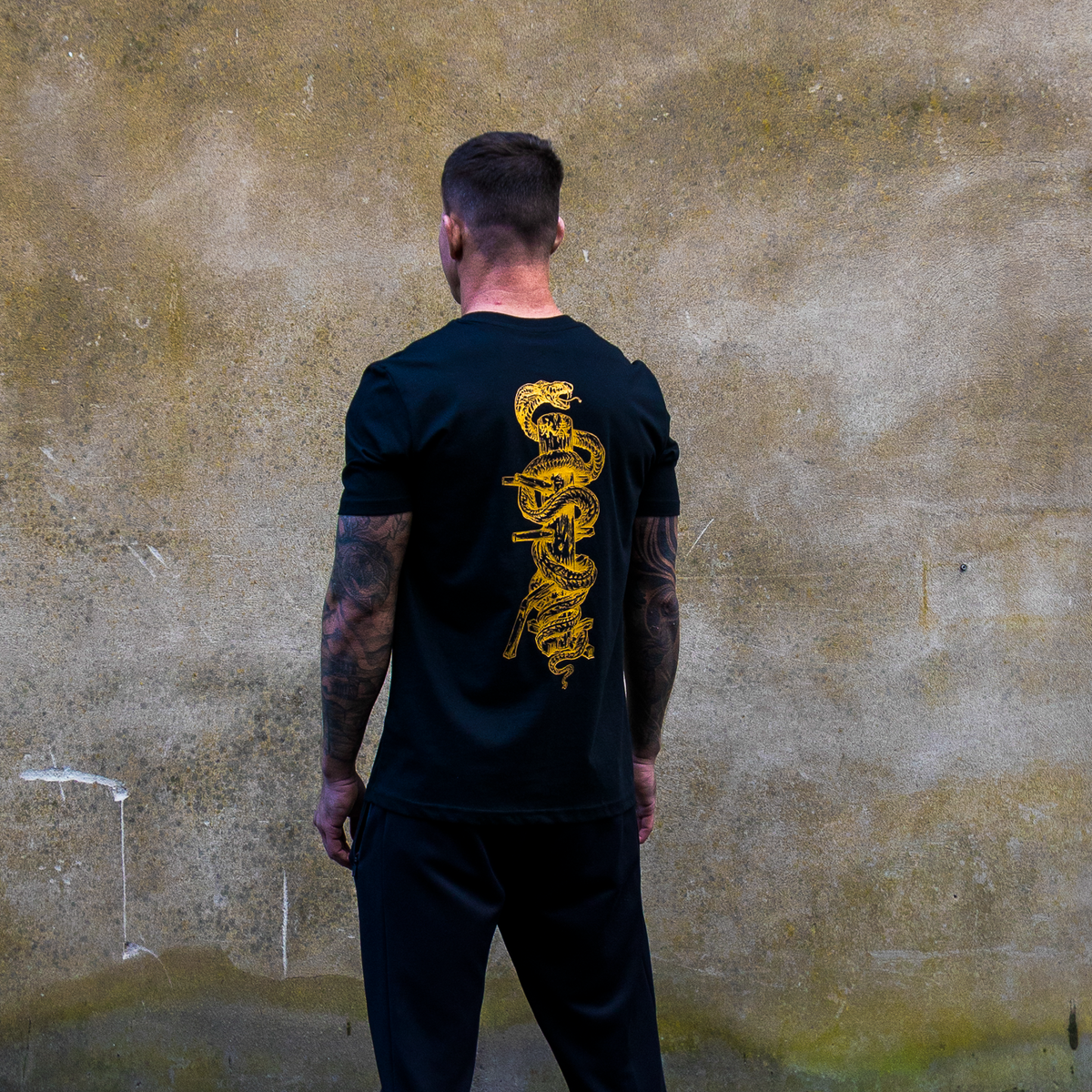 &#39;Snake &amp; Dummy&#39;