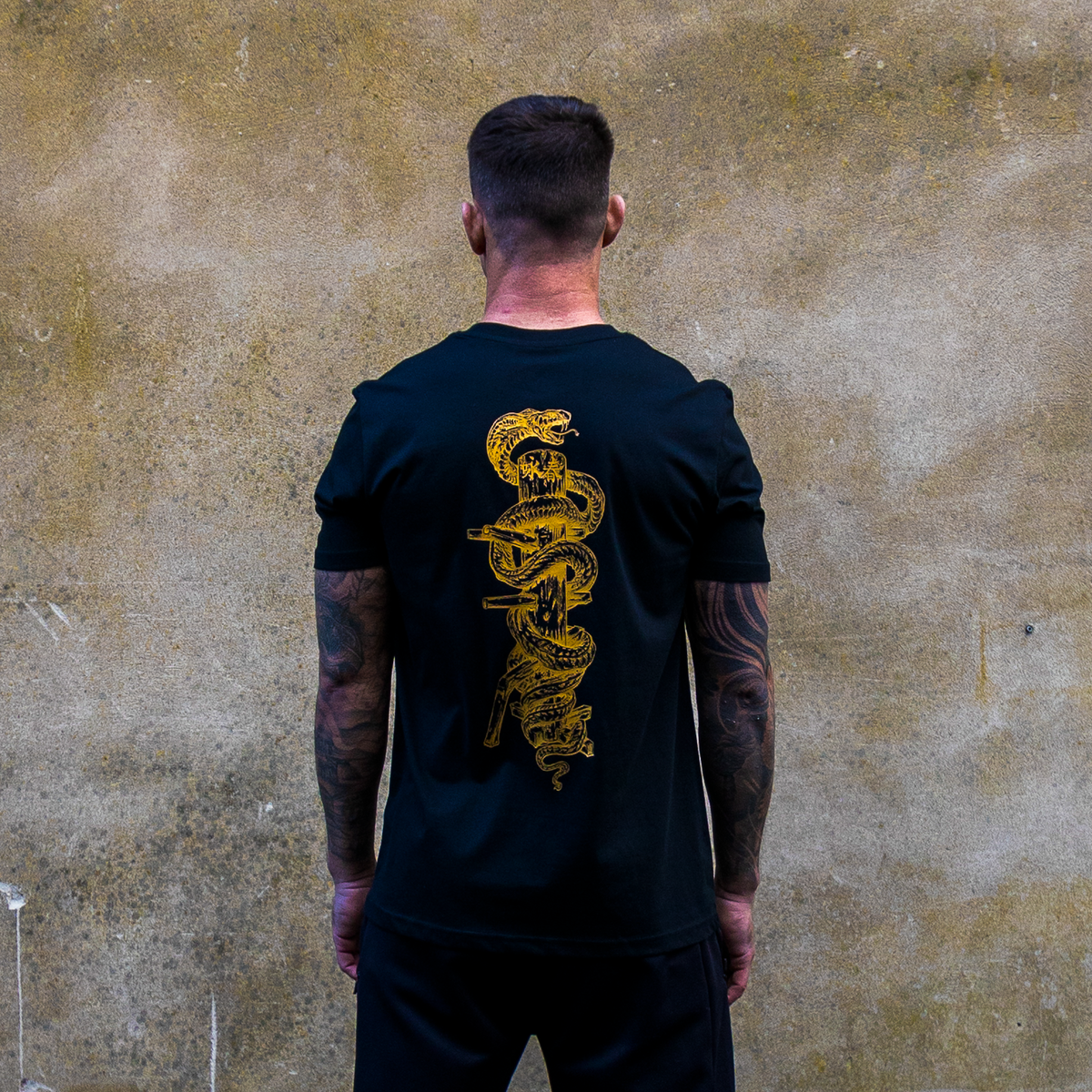 &#39;Snake &amp; Dummy&#39;