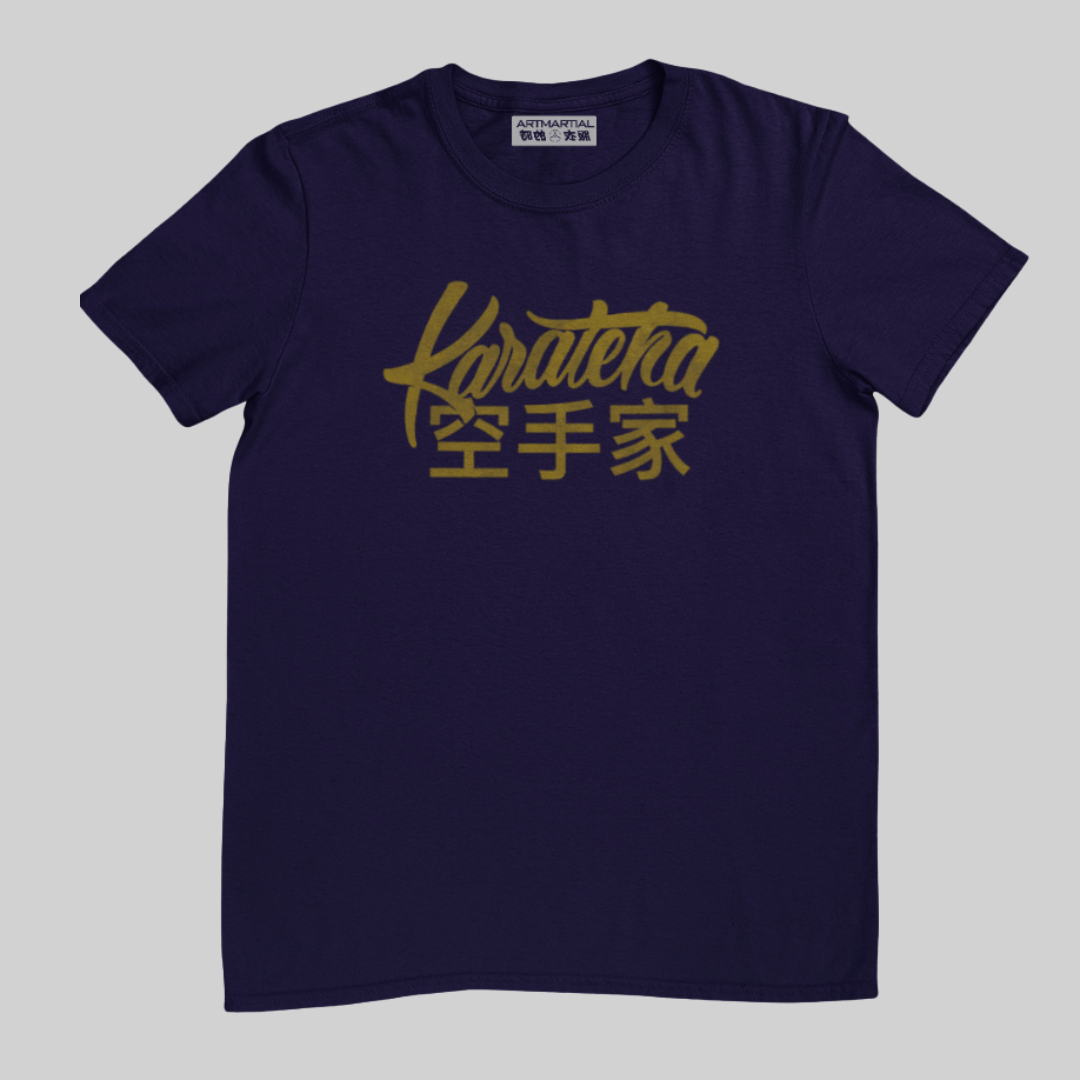 Karateka 2.0