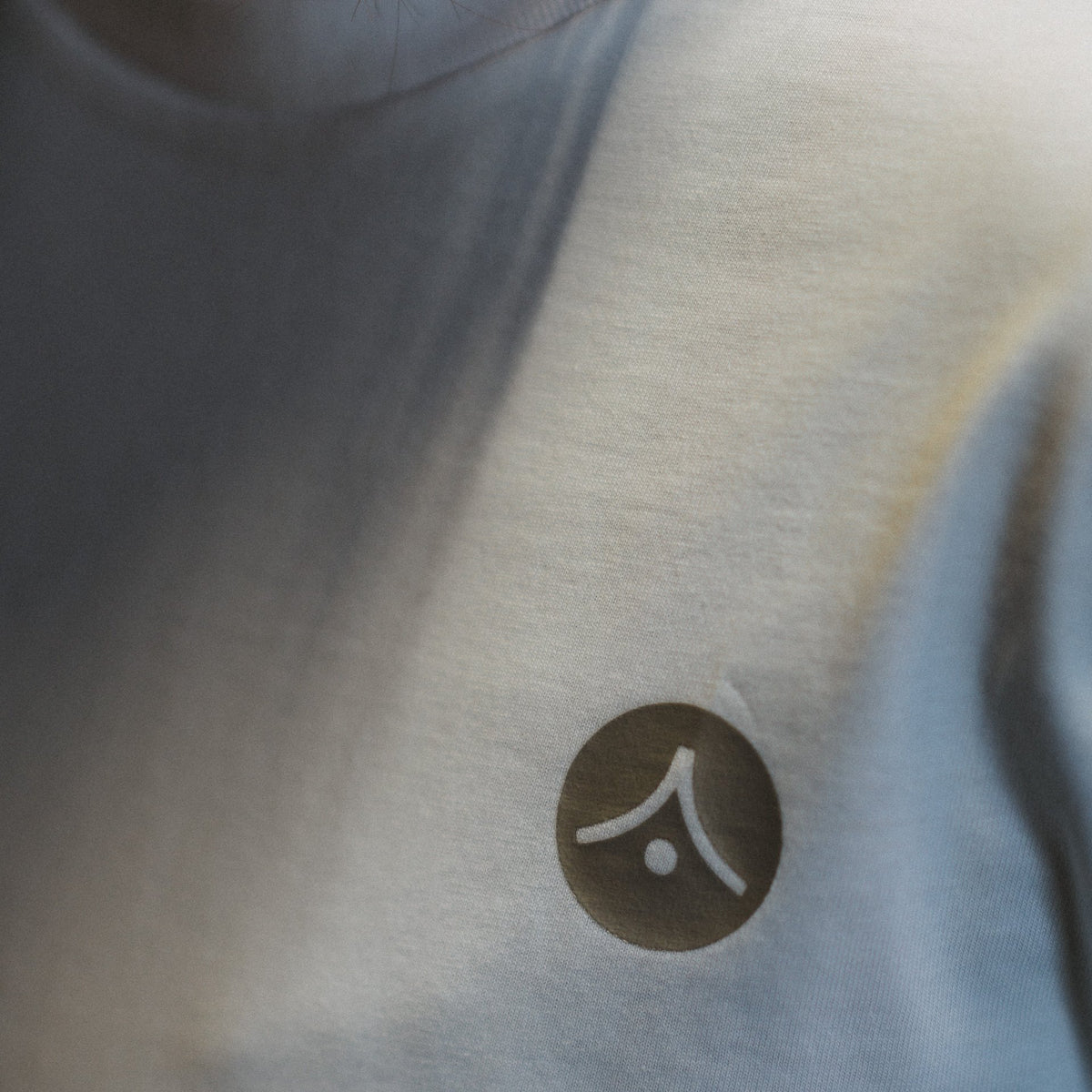 &#39;Return of the Dragon&#39; Silver