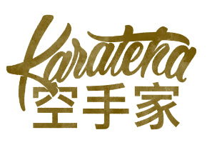 Karateka 2.0