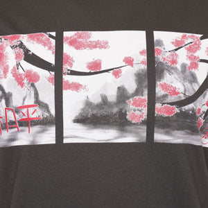 'Peace Blossom'